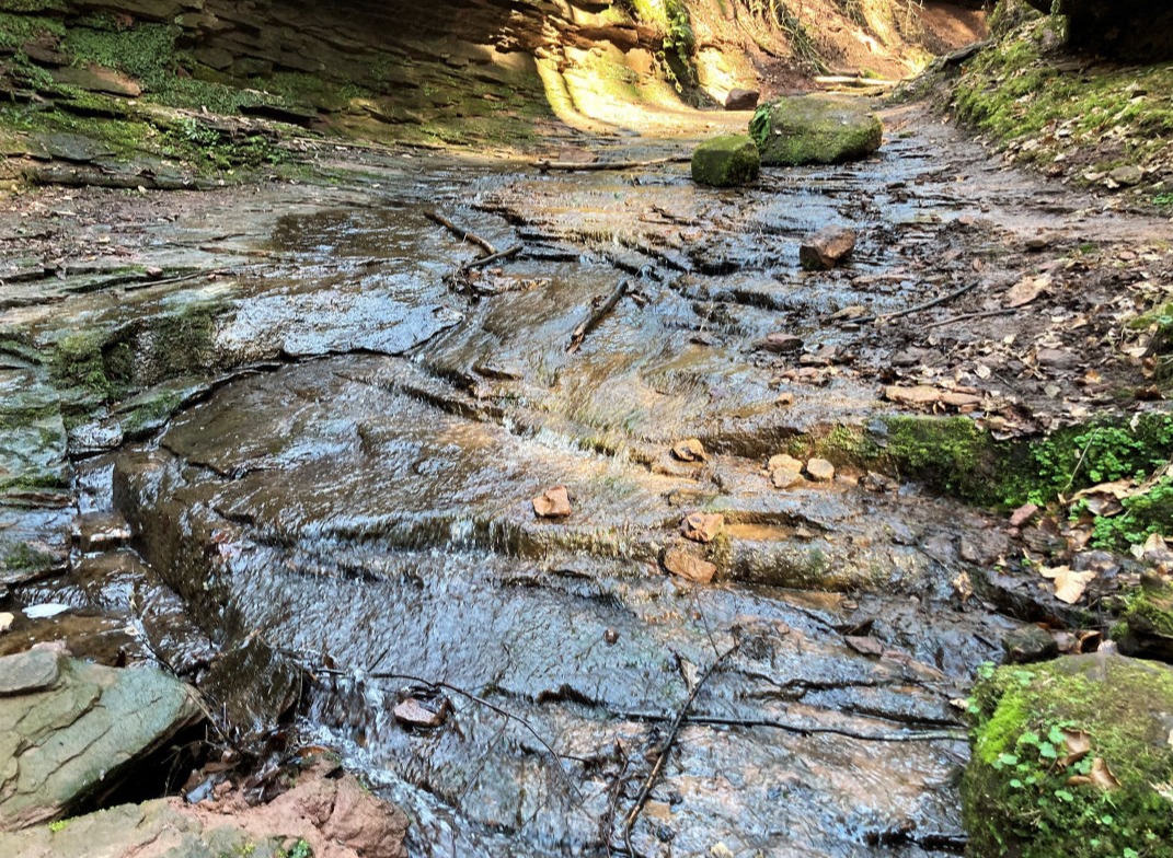Wasser fließt durch ein Bachbett