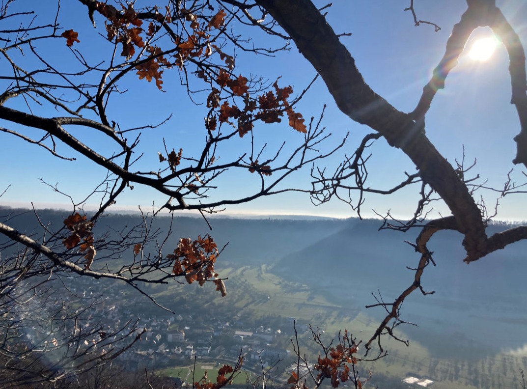 Blick durch einen kahlen Baum auf Tal und Anhöhe