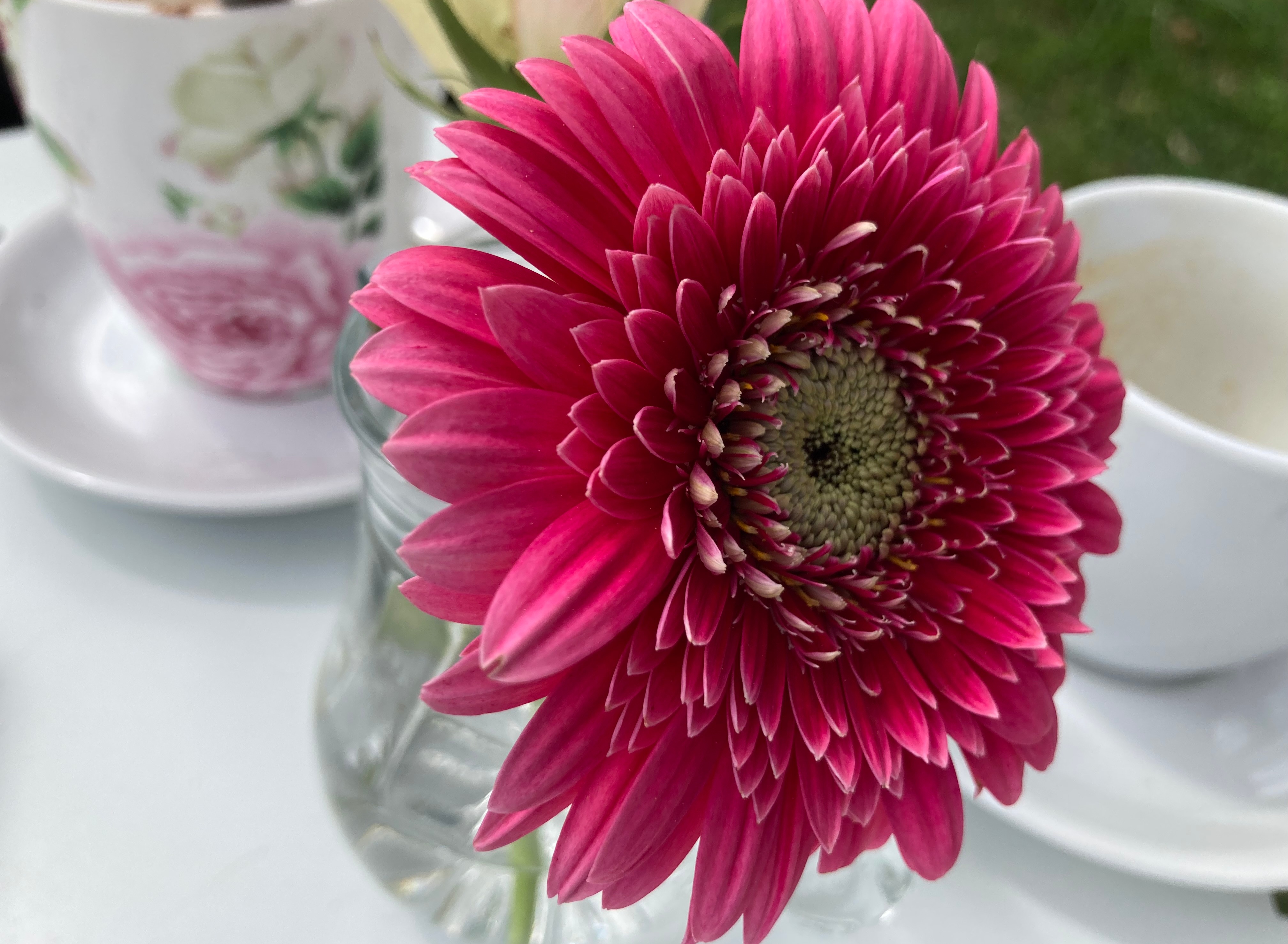 Blüte einer Blume in einer kleinen Vase