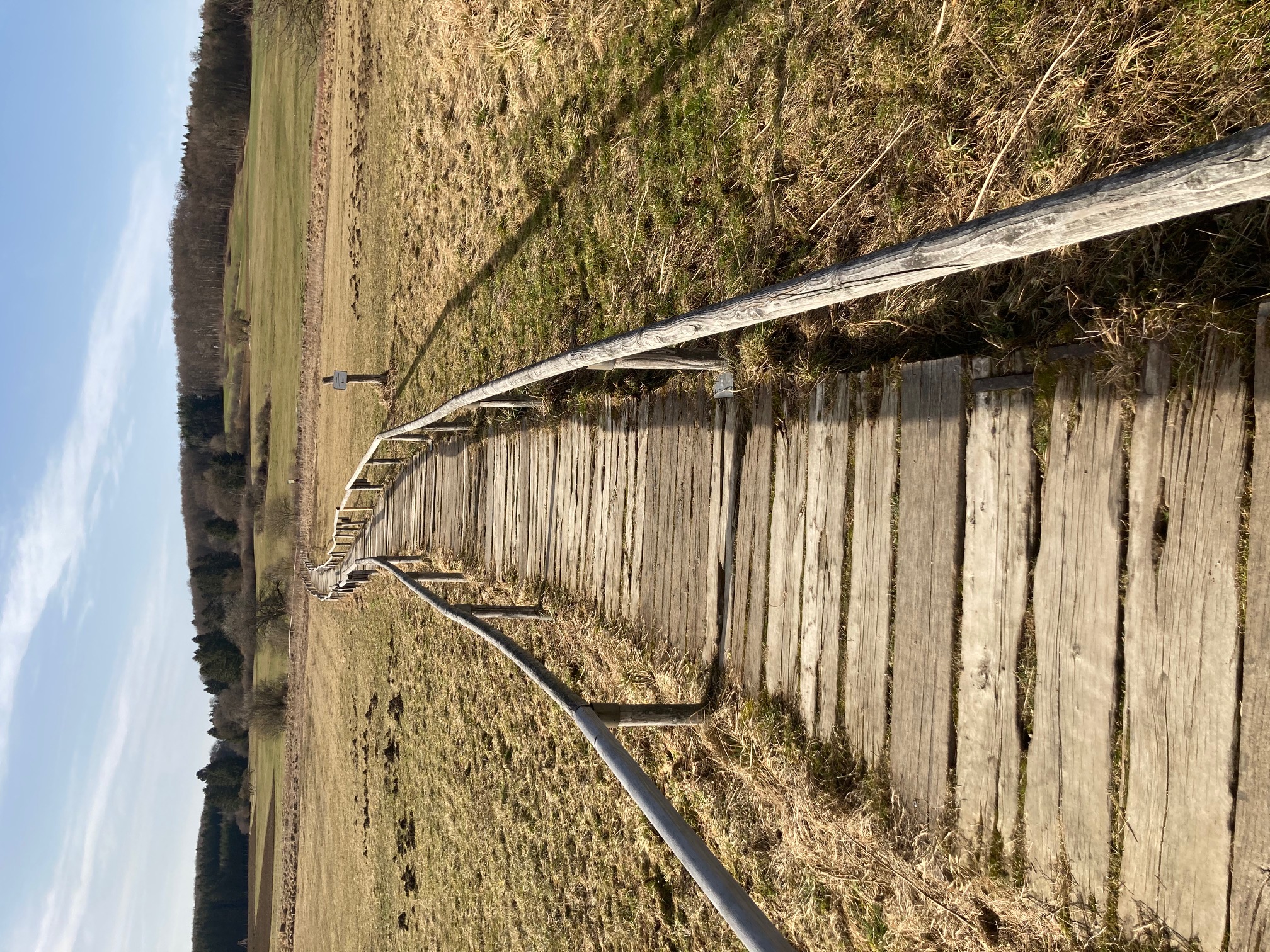 Bohlenweg durch ein Hochmoor