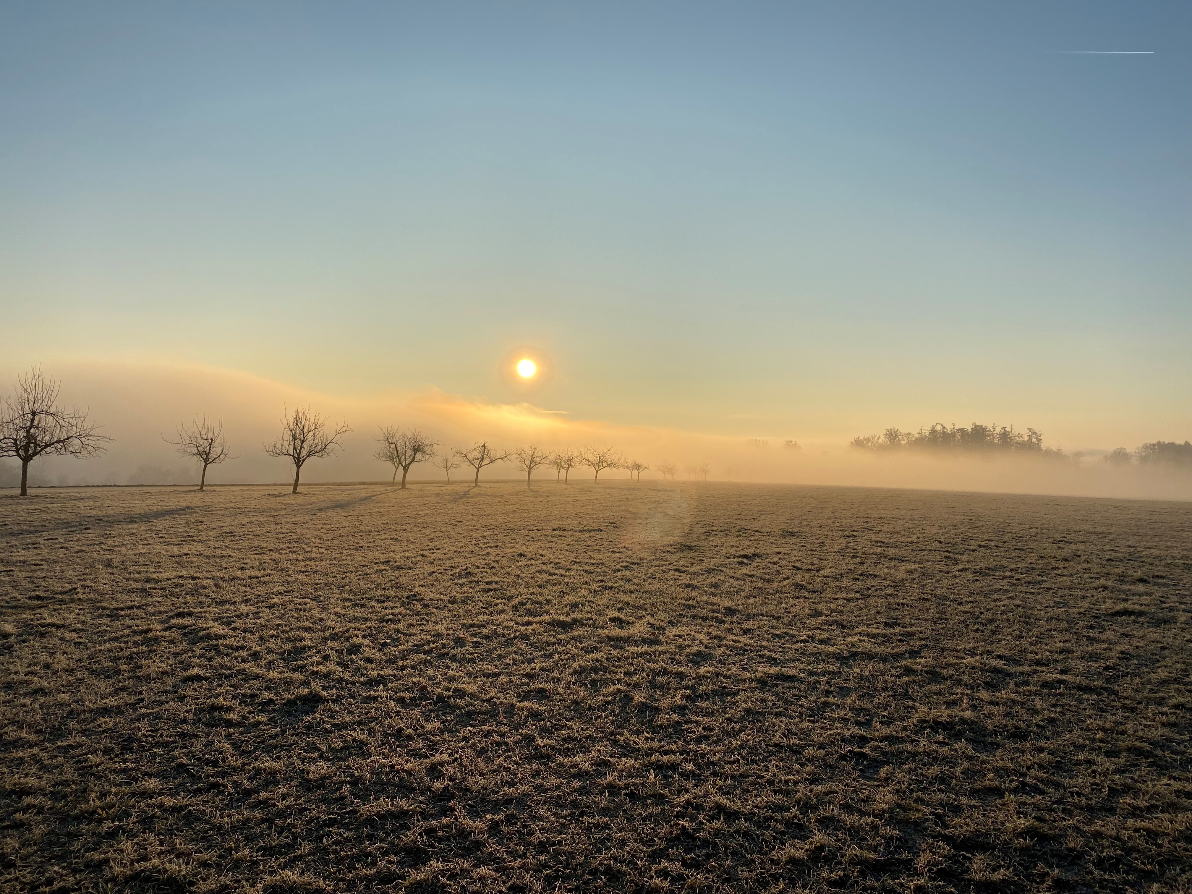 Angefrorenes Feld im Morgenlicht